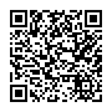 QR code for BSU317