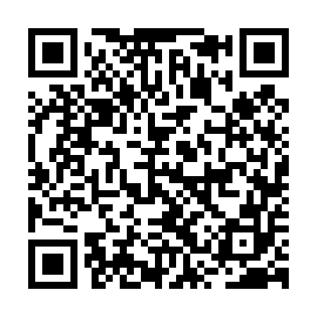 QR code for BSV452