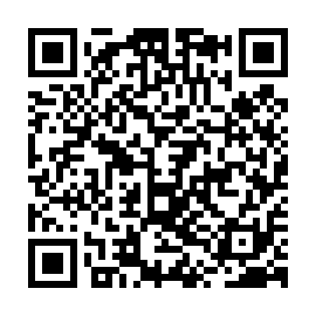 QR code for BTG411
