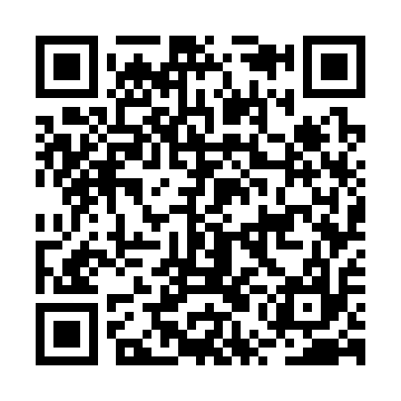 QR code for BUG317
