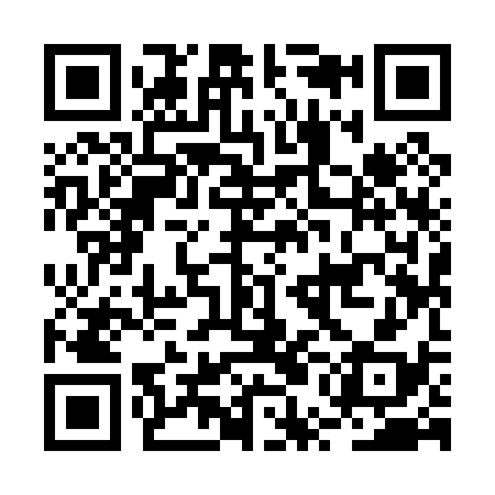 QR code for BUI038