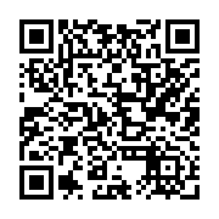 QR code for BUI953