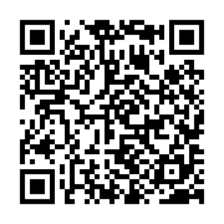 QR code for BYN295