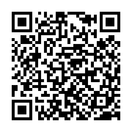 QR code for CAE441