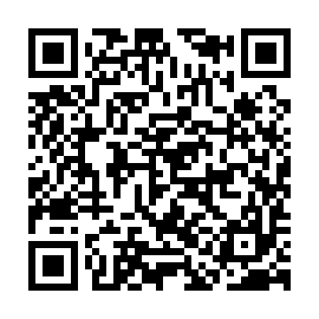 QR code for CAI197