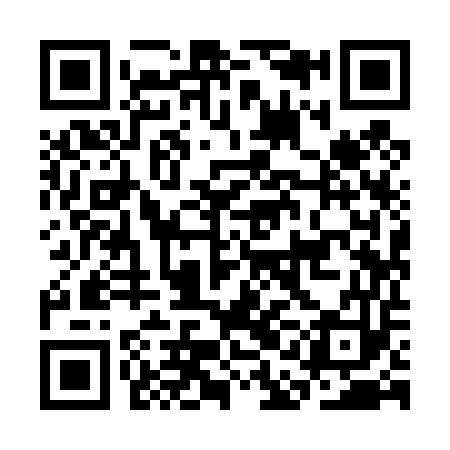 QR code for CAI453