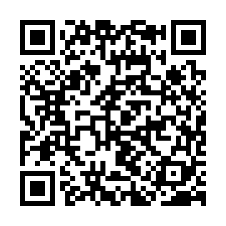 QR code for CAQ369