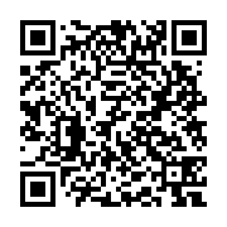 QR code for CAR738