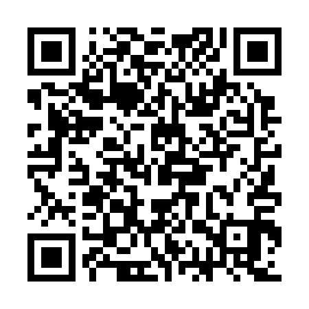 QR code for CAT311