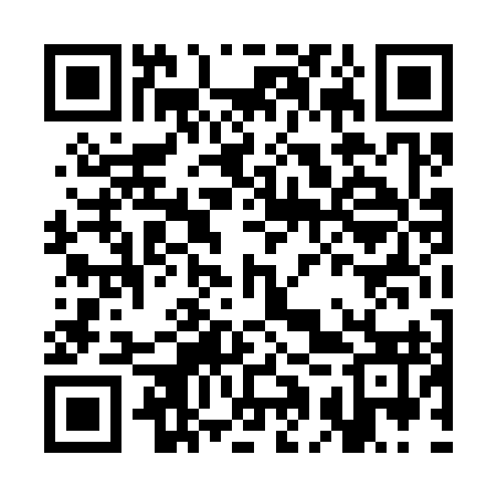 QR code for CAT393