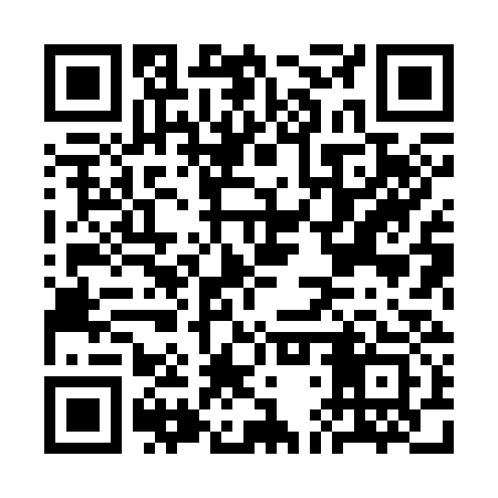 QR code for CDX333