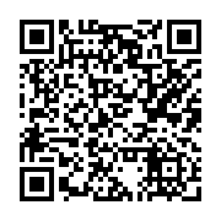 QR code for CDZ919