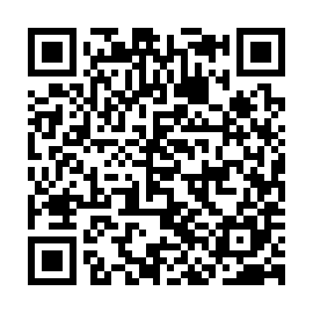 QR code for CFE385