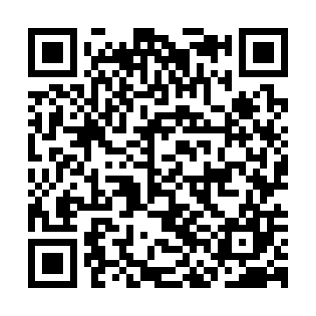 QR code for CFO307