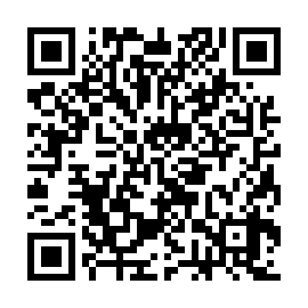 QR code for CGS538