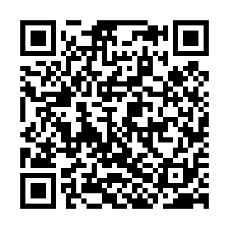QR code for CHF411