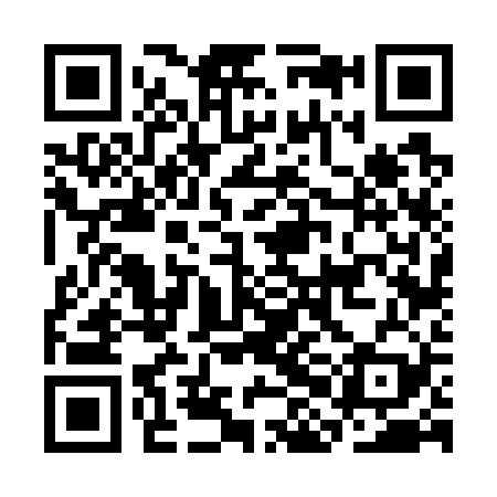 QR code for CHF729