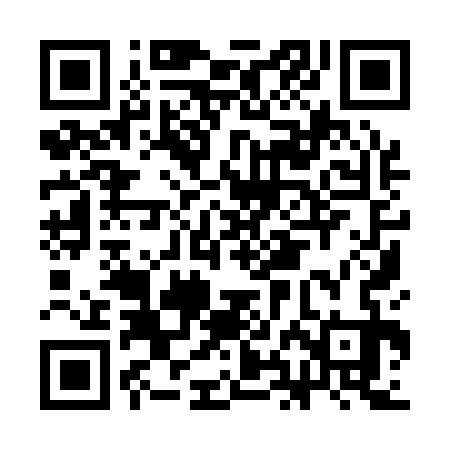 QR code for CHI133