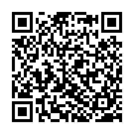 QR code for CHI204
