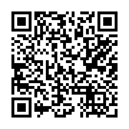 QR code for CHI233