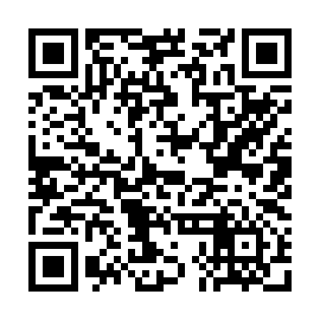 QR code for CHI296