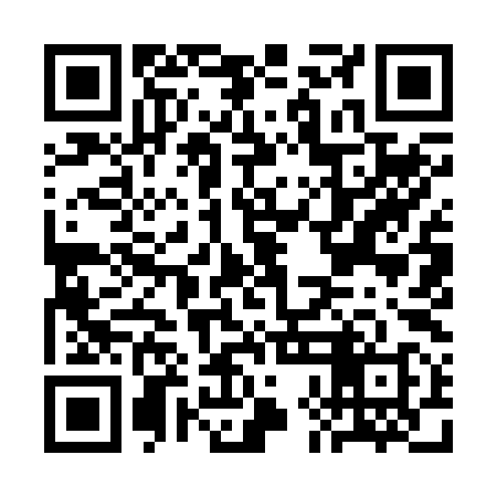 QR code for CHI298