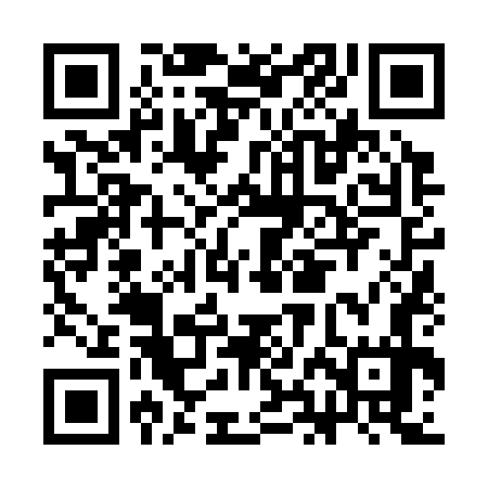 QR code for CHN377