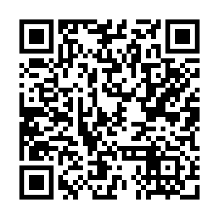 QR code for CHO313