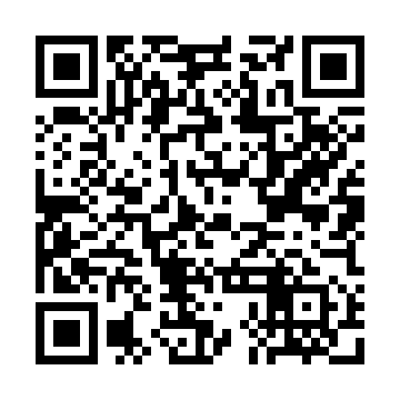QR code for CHO351