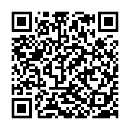 QR code for CHS919