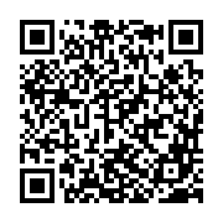 QR code for CHZ346