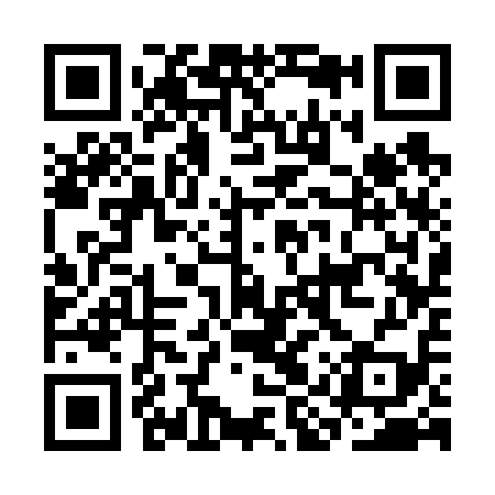 QR code for CIS619