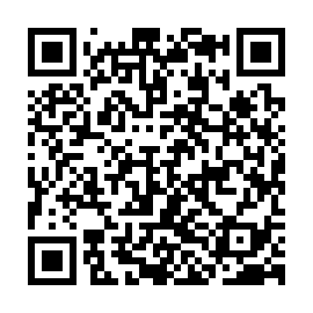 QR code for CLI339