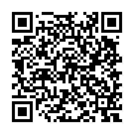 QR code for CMU493