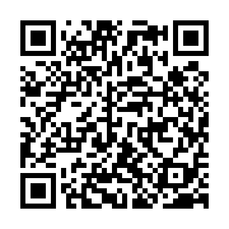 QR code for CNY519