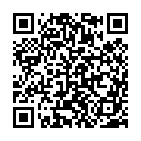QR code for COA462
