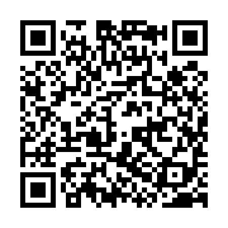 QR code for CPI599