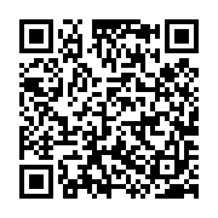 QR code for CPL493