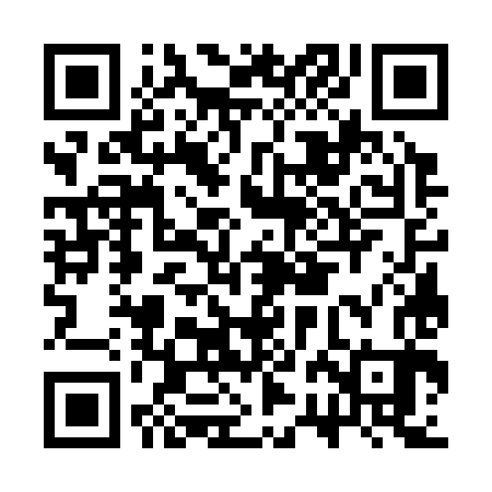 QR code for CRG383