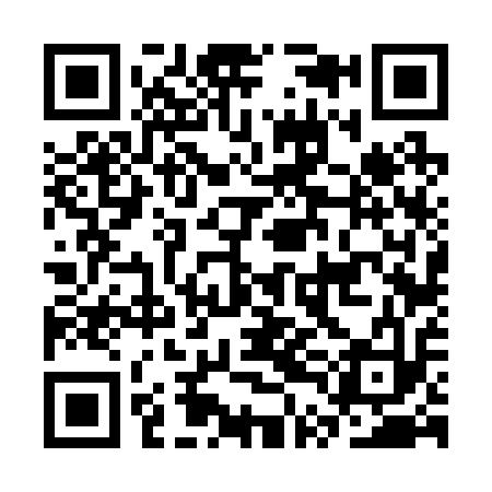 QR code for CTF213