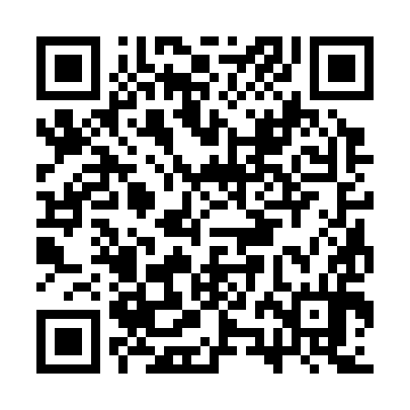 QR code for CZC394