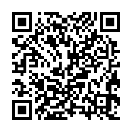 QR code for CZG373