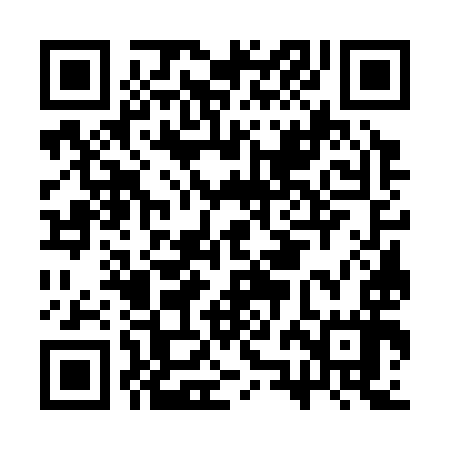 QR code for CZG397