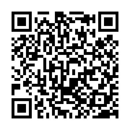 QR code for CZG498
