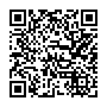 QR code for CZG619