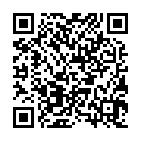 QR code for CZG804