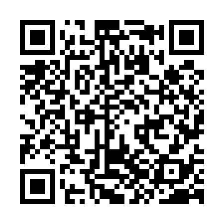 QR code for CZN538