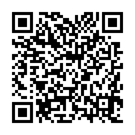 QR code for CZP795