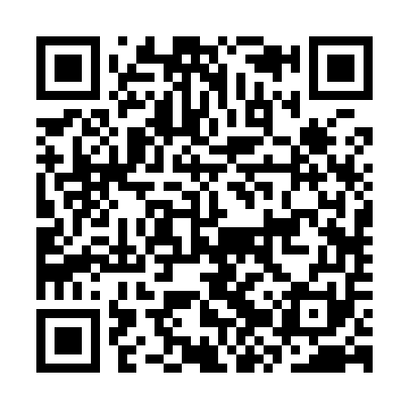 QR code for CZR951