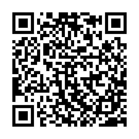 QR code for CZT387